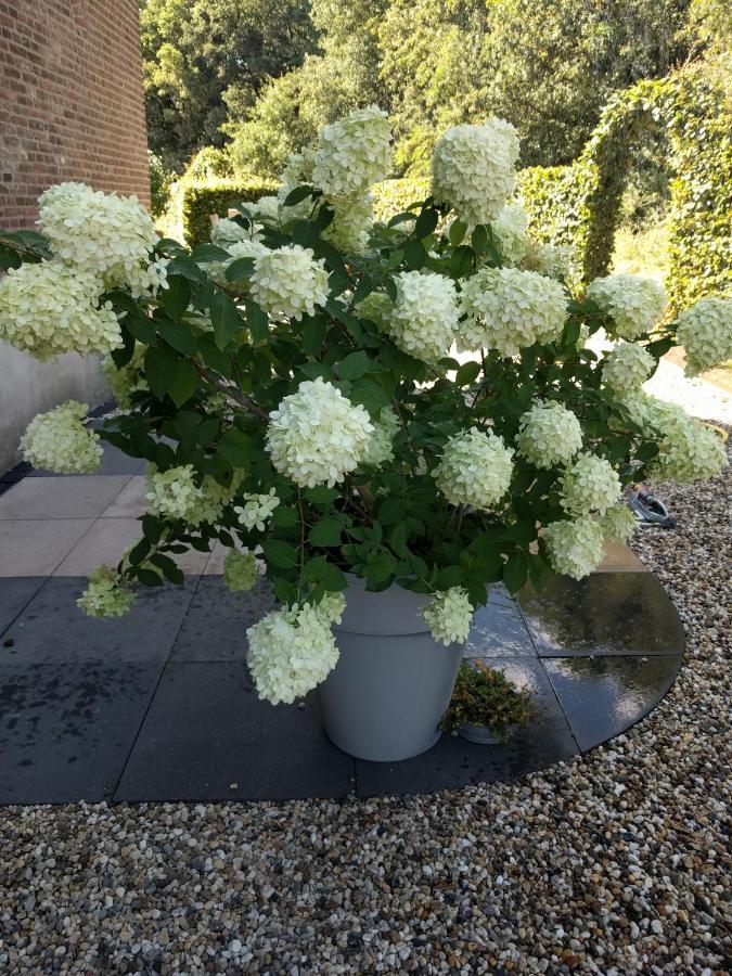 B&B Agnetenhoeve Overasselt Exterior foto